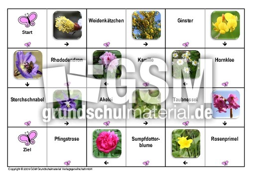 Domino-Frühlingsblüten-4.pdf